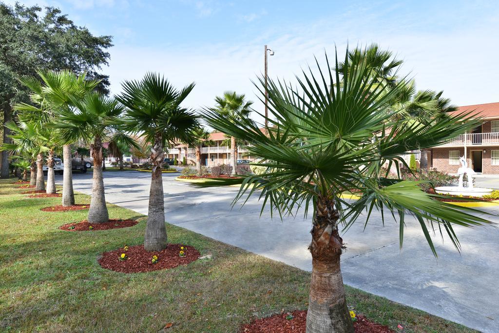 Savannah Inn And Suites Savannah Port Area Tiện nghi bức ảnh